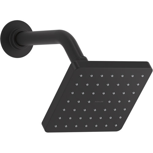 Wayfair Black Shower Heads You'll Love in 2024